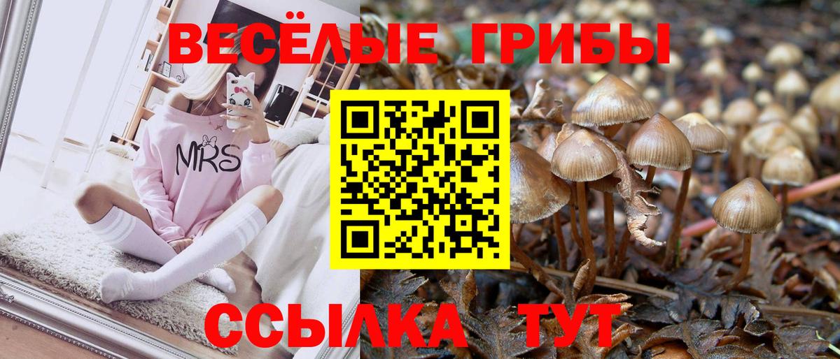 Псилоцибиновые грибы прущие грибы Хабаровск