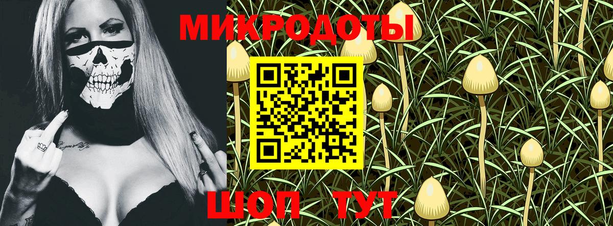 Галлюциногенные грибы Psilocybine cubensis  Вход с VPN  Хабаровск 